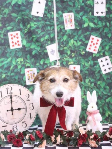 20250415こはるちゃん